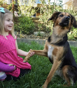 Tiergestützte Therapie-Therapiehund-hilft-Mädchen