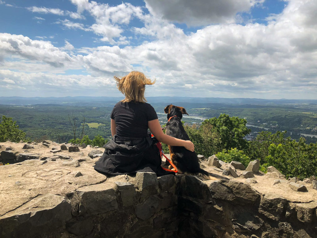 Hund und Mensch von hinten fotografiert auf der Löwenburg mit Ausblick 